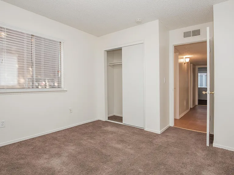 Pacific Pines — Photo 32