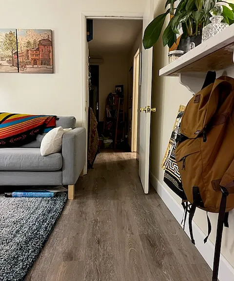 Entry view - new LVP flooring