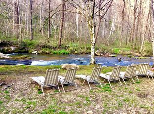 2699 Pearson Falls Rd #0, Saluda, NC 28773