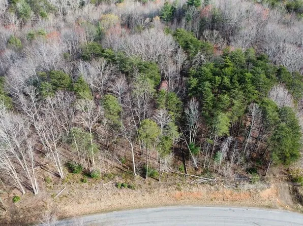 0 Pilson Sawmill Rd, Stuart, VA 24171