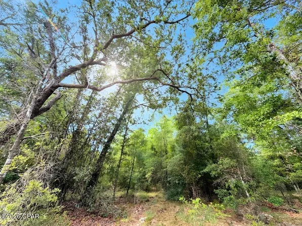 0 Broadview Ave, Alford, FL 32420