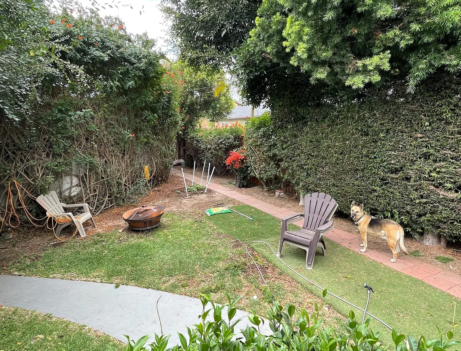 3 bed, 1100 sqft, $1,750 — Photo 4