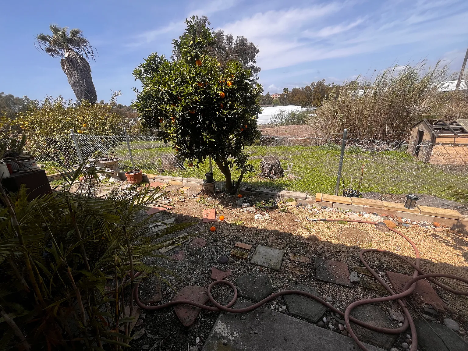 Sunset Dr, Vista — Photo 4