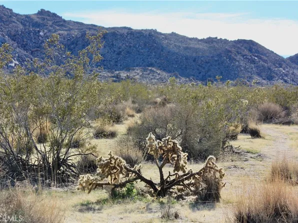 64647 Foothill Dr, Joshua Tree, CA 92252