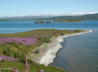 L2-3 N No Rd, Pilot Pt, AK 99649