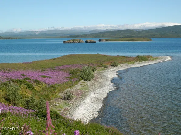 L2-3 N No Rd, Pilot Pt, AK 99649