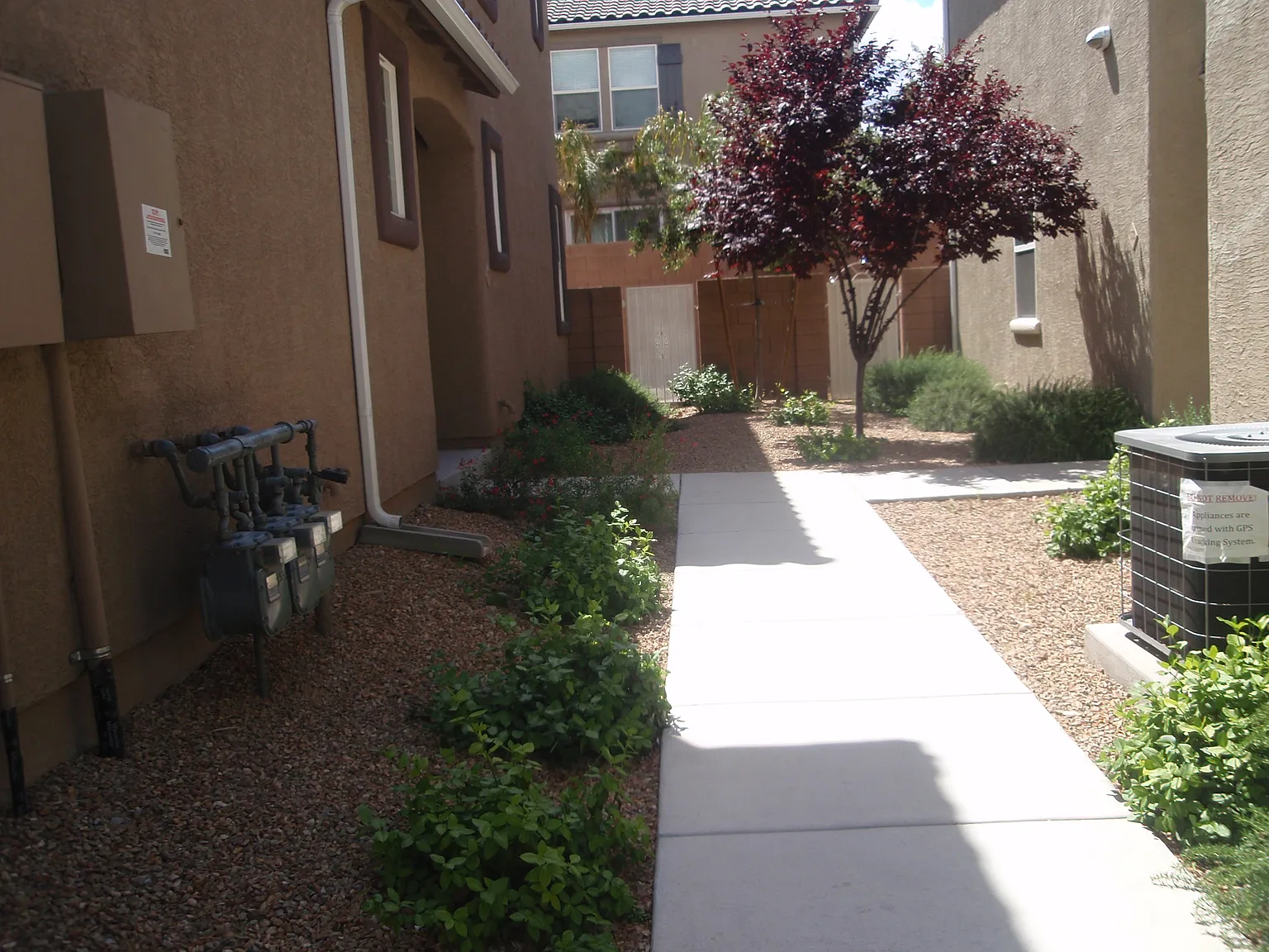 3 bed, 2.5 bath, 1657 sqft, $1,900 — Photo 3
