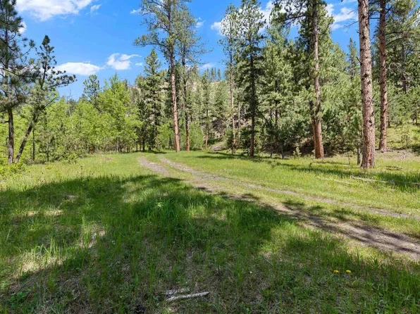 Tbd Rochford Rd, Hill City, SD 57745