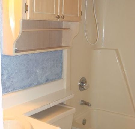 4th image of 3833 Honeysuckle Dr
