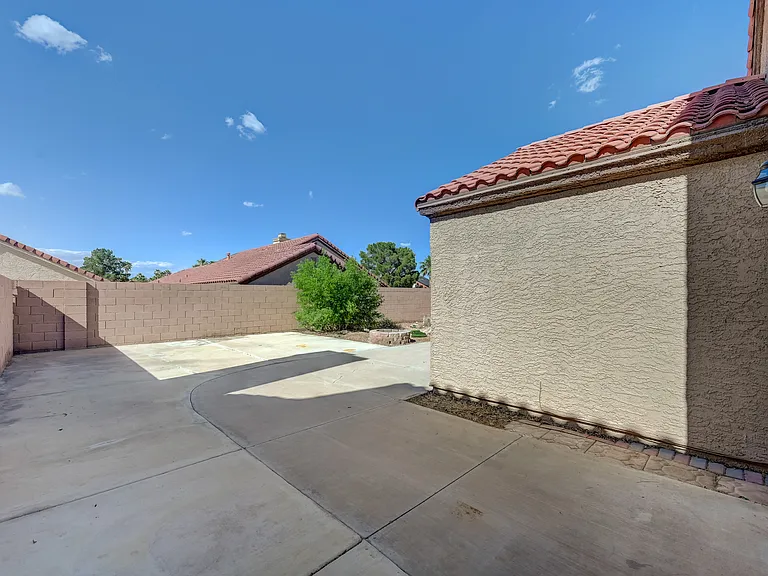 back yard