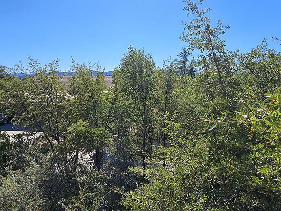 3rd image of 1631 Granite Springs Dr