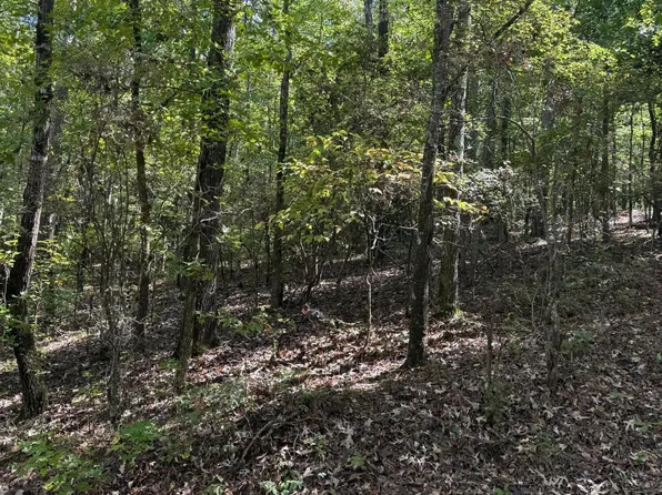 Lot 14b Lbk Circle, Tignall, GA 30668