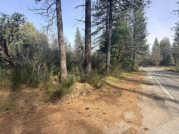 4th image of 10986 Tyler Foote Crossing Rd