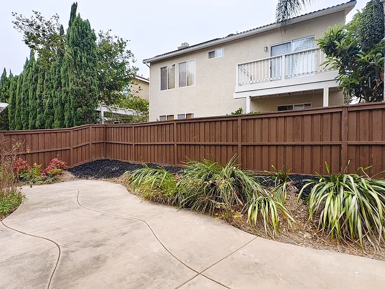 Backyard