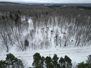 384 E Simpson Rd, Mancelona, MI 49659