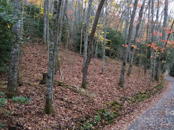 7 Buck Knob, Cullowhee, NC 28723