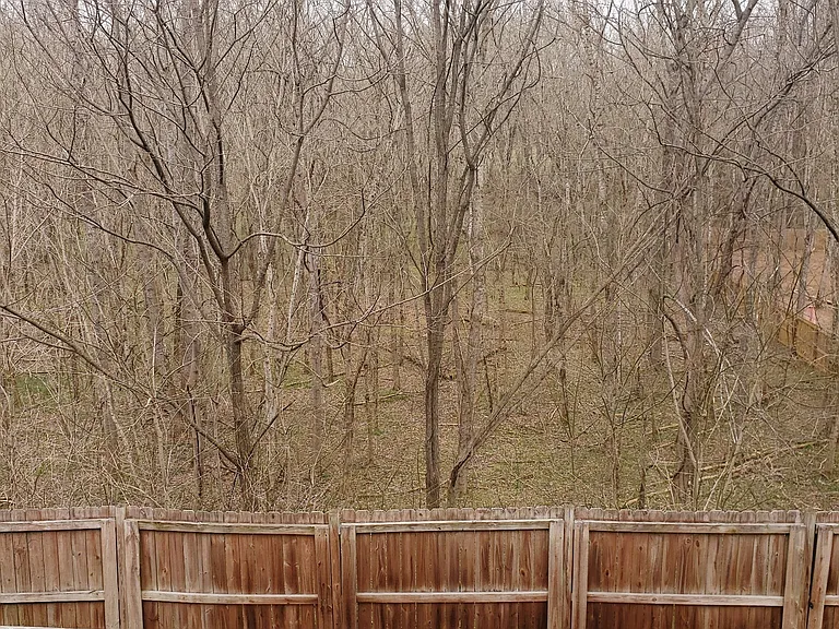 652 Winding Bluff Way — Photo 28