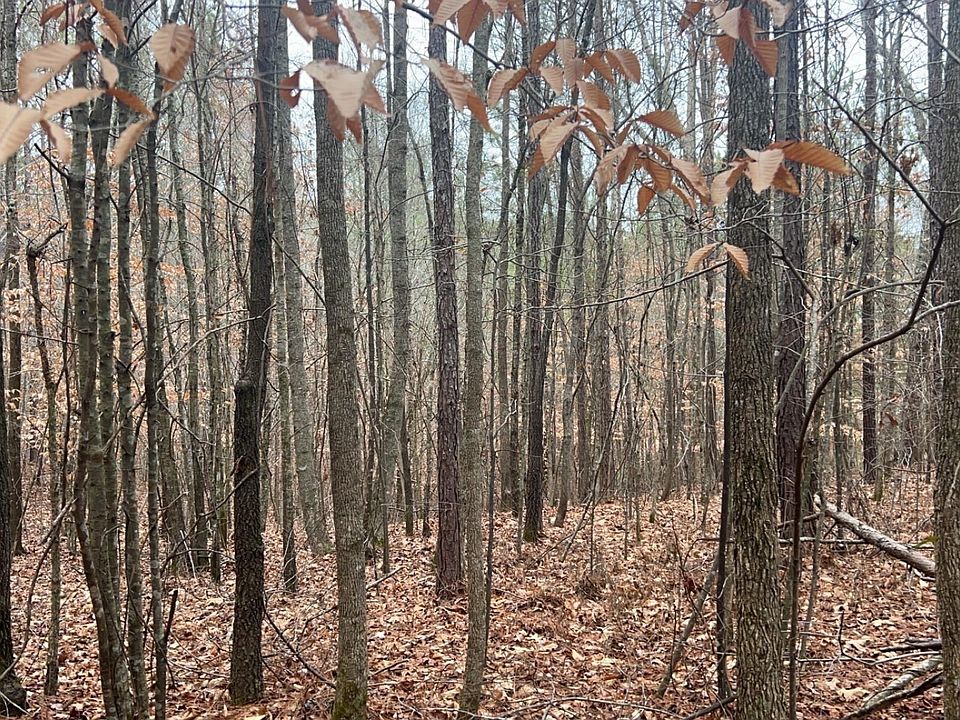2nd image of LOT 5/county Rd Lot 823-5