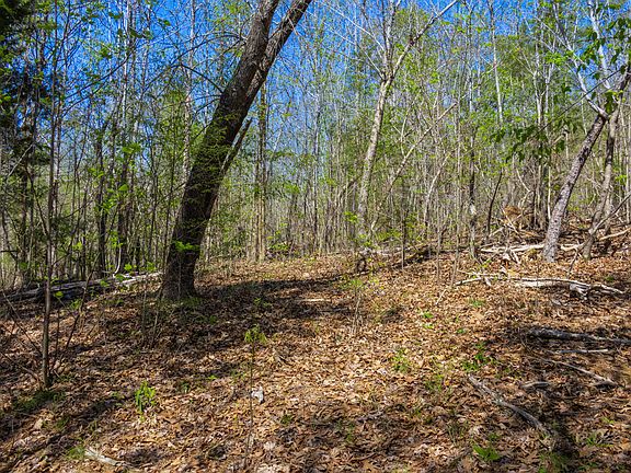 2nd image of 5508 Sealy Ann Mountain Rd