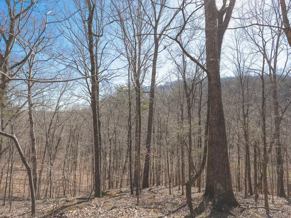 0 Fisher Hollow Rd, Georgetown, TN 37336