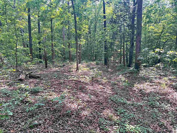 5th image of 0 Beat Farmer Rd Lot 1