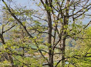 Boatmans Mountain Rd, Morristown, TN 37814