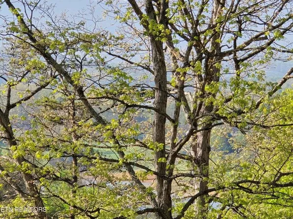 Boatmans Mountain Rd, Morristown, TN 37814