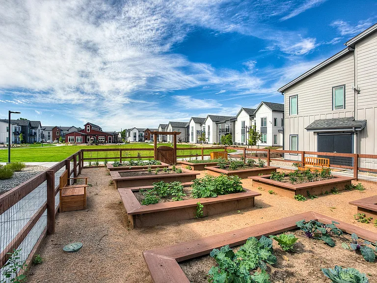 Community garden
