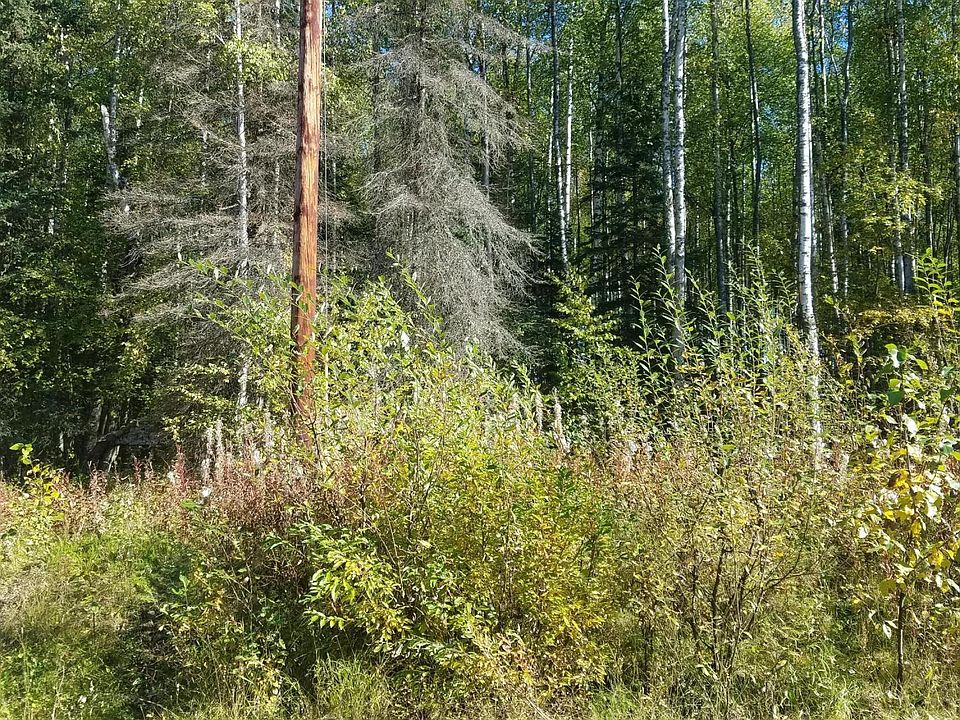 2nd image of 12401 W Cheri Lake Dr