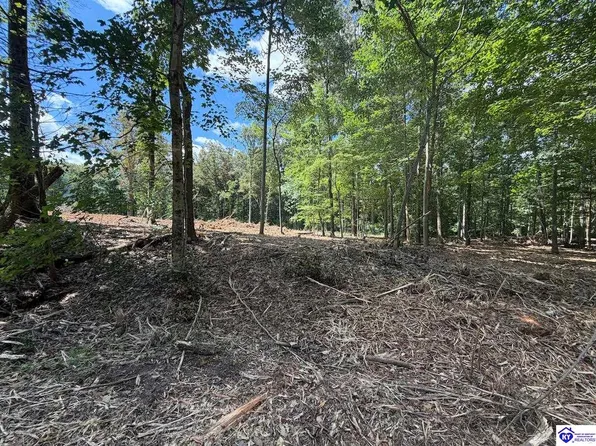 15 Redhawk, Rineyville, KY 40162