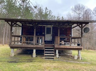 0 Town Line Rd, Canaseraga, NY 14822