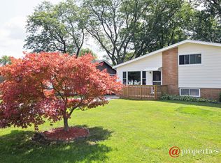 917 E Krage Dr, Addison, IL 60101