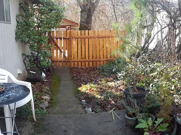 backyard very quite