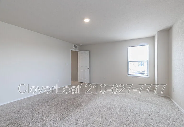 6823 Ashcat — Photo 19