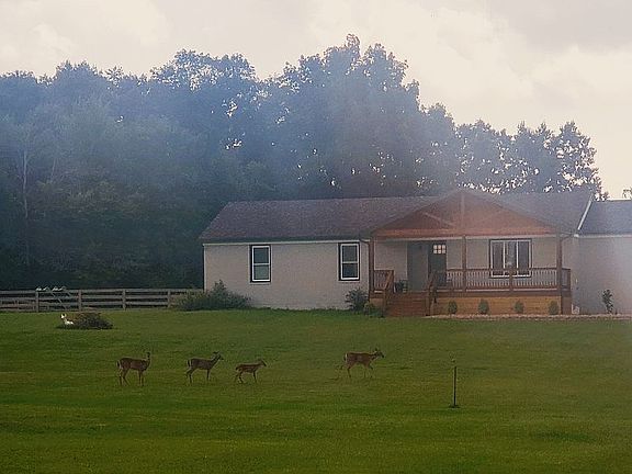 Lots of wildlife to be seen 