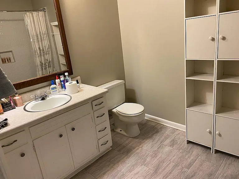 Hall bath with new flooring