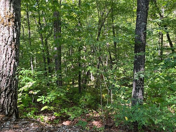 5th image of 7 Forest Canopy Way #7