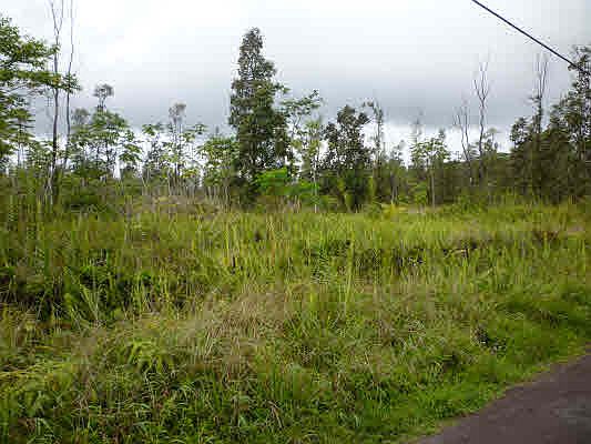 2nd image of 16-1770 37th Ave Lot 23