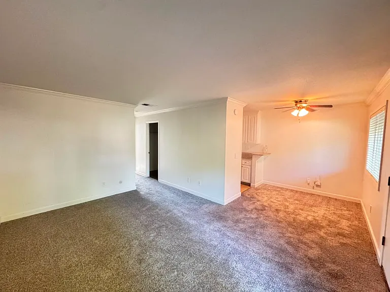 356 Robinson St #32 — Photo 4