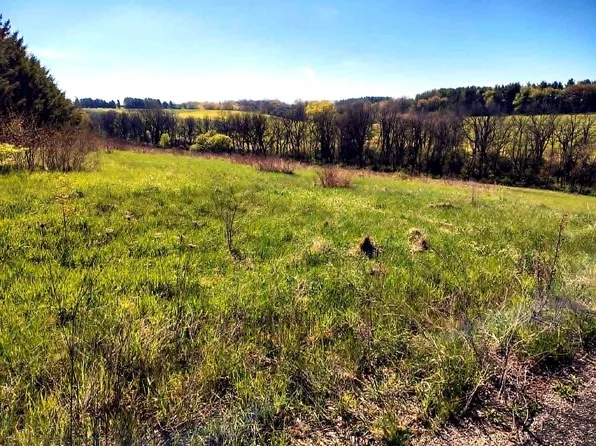 Lot  13 Holly Lane Lot 13, Belleville, WI 53508