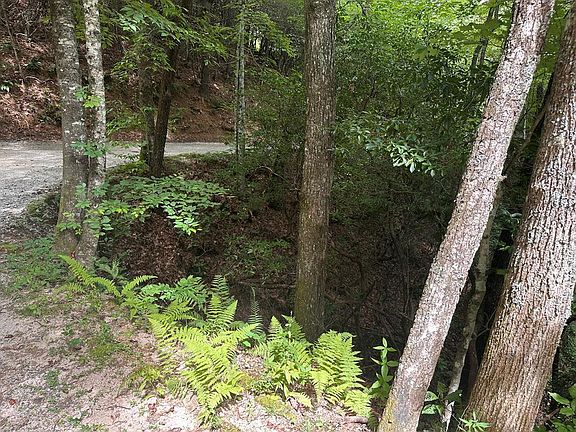 2nd image of 0 Davis Rd