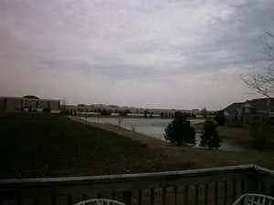 Yard view
