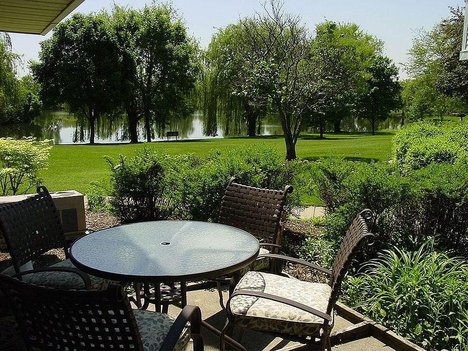 Patio View - summer