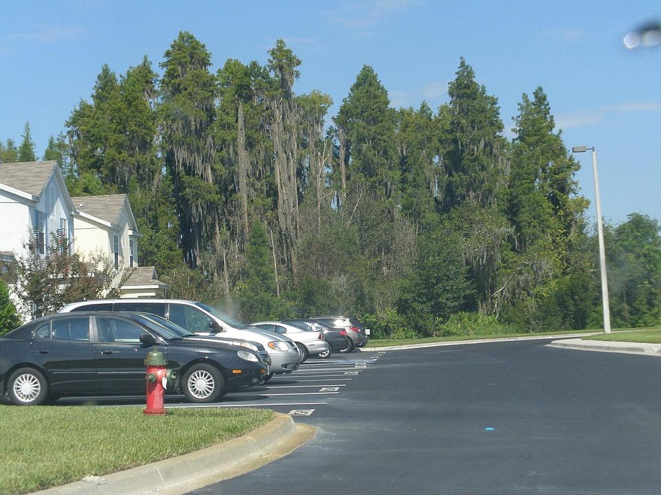 StreetView