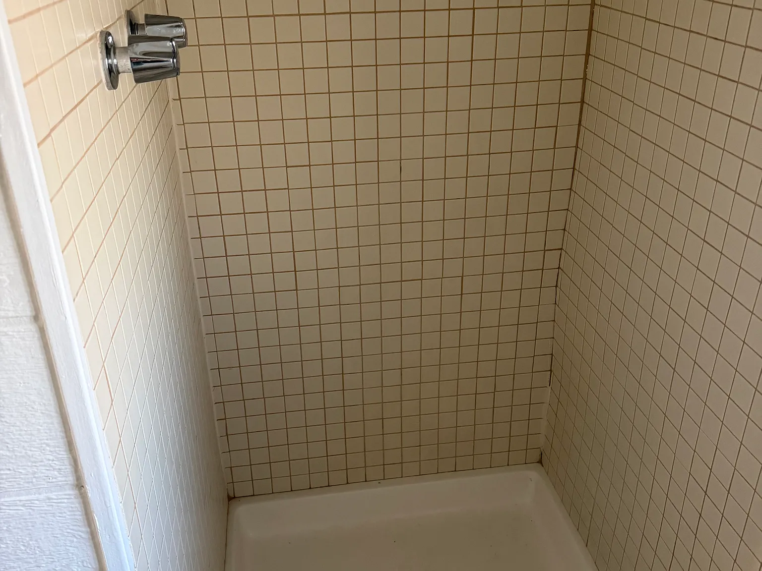1 bed, $950 — Photo 3