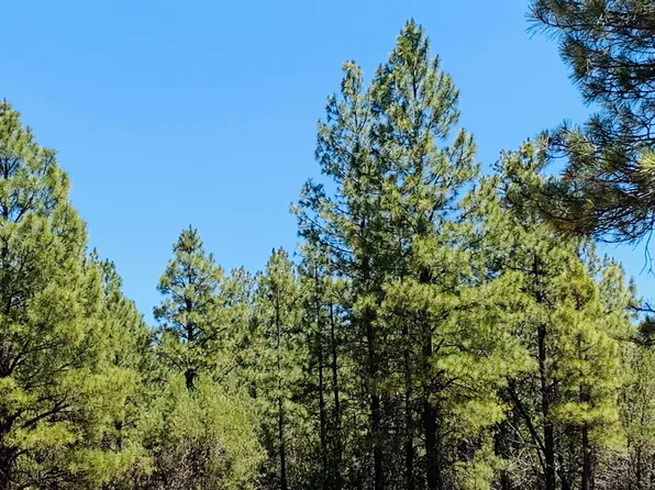 2319 Swan Ln, Happy Jack, AZ 86024