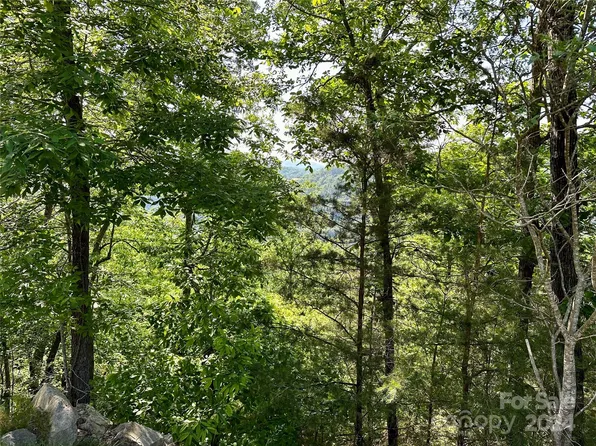 387 Wild River Run #6, Marshall, NC 28753