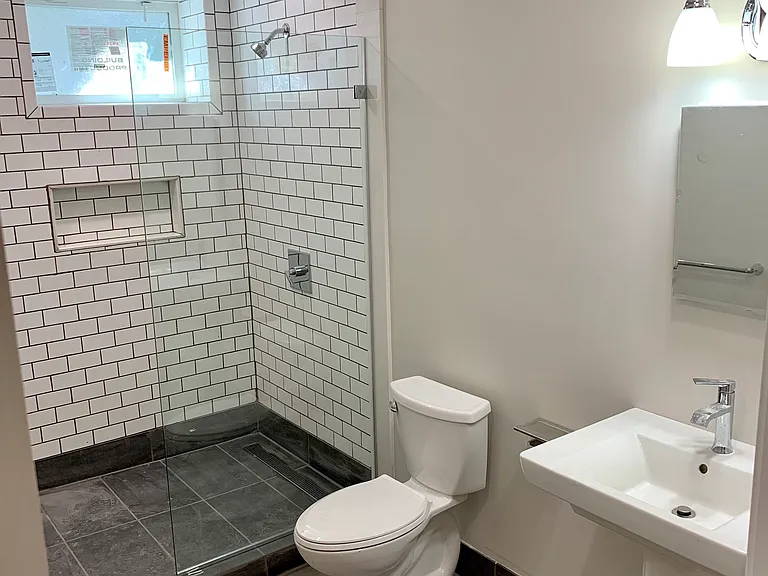 Lower level bathroom