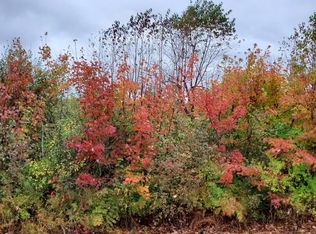 Irish Rd, Millington, MI 48746