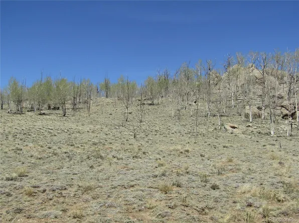 1868 Ute Trace LOT 342, Hartsel, CO 80449
